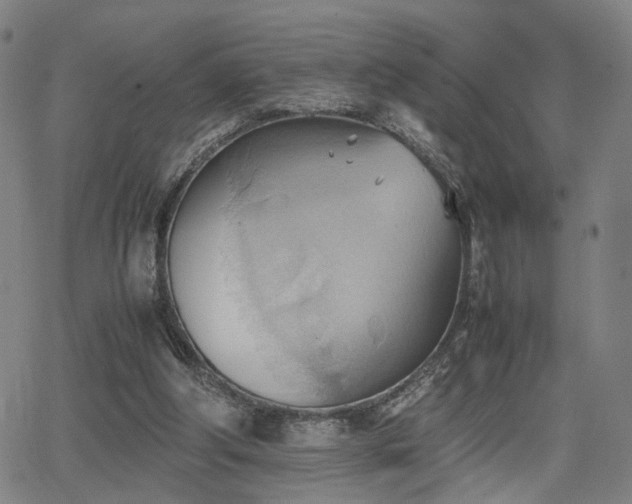 X0000064040202200601271210