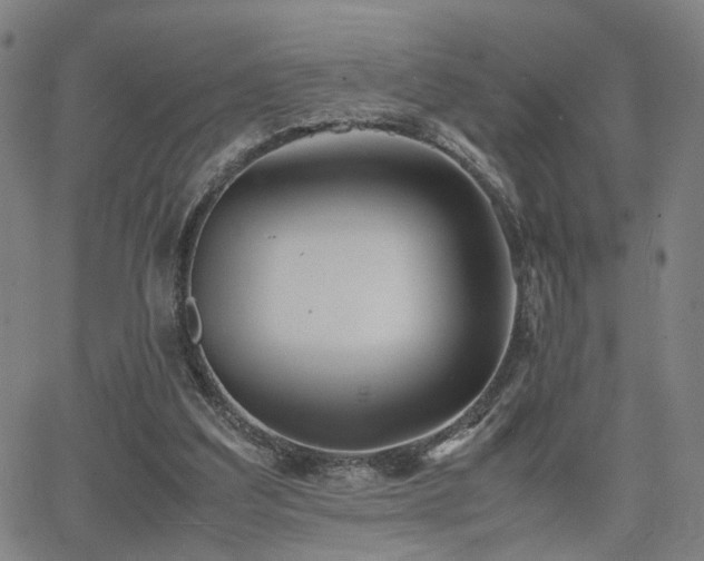 X0000064040203200601271210