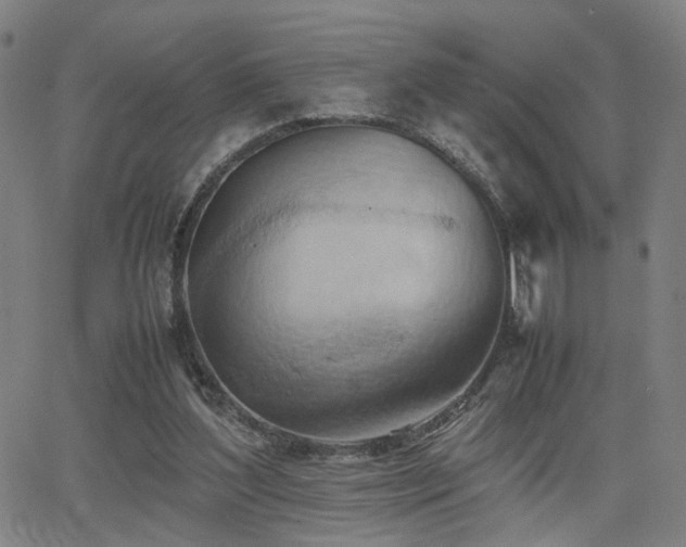 X0000064040204200601271210