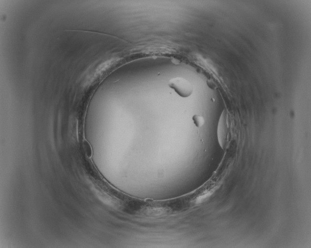 X0000064040205200601271210