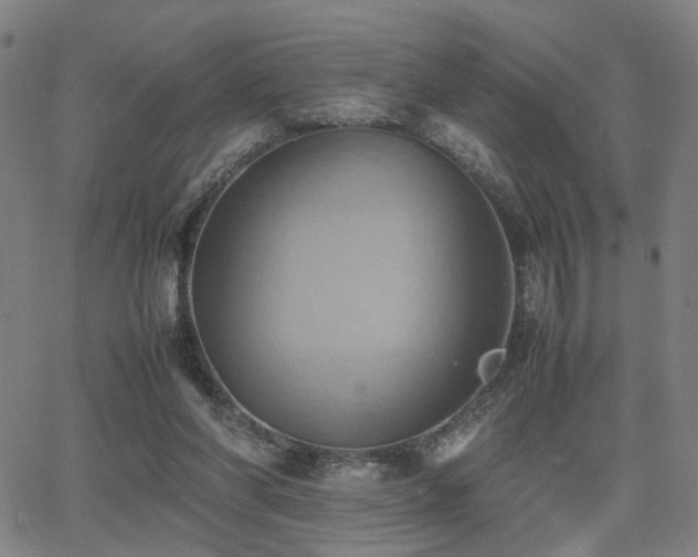 X0000064040206200601271210