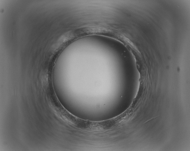 X0000064040207200601271210