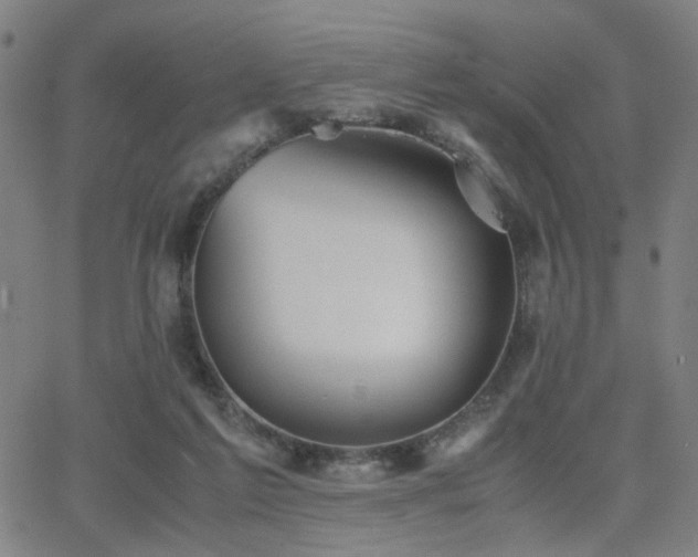 X0000064040213200601271210