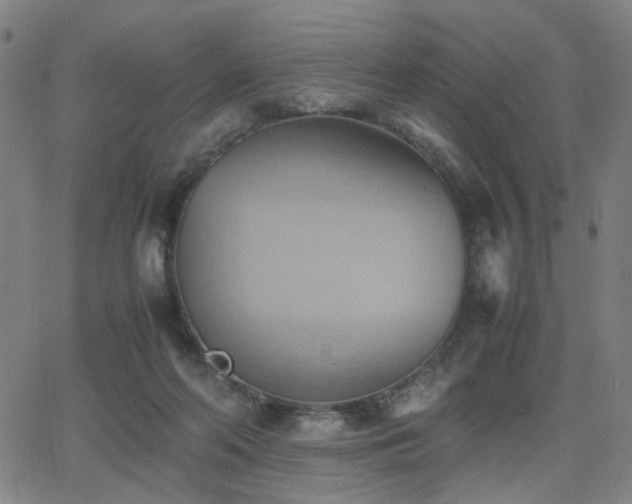 X0000064040214200601271210