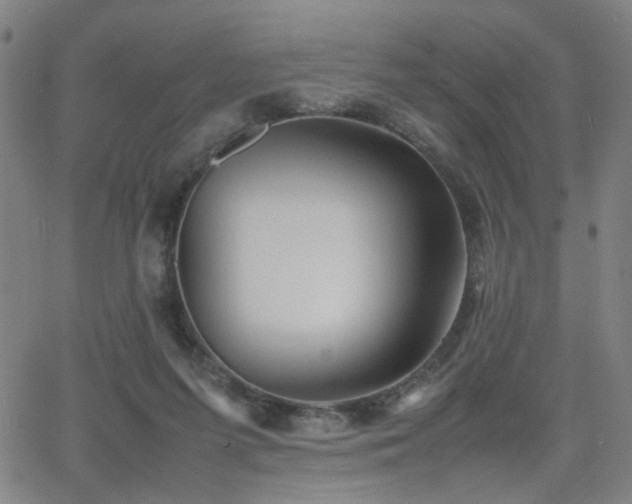 X0000064040215200601271210