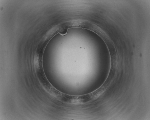 X0000064040216200601271210