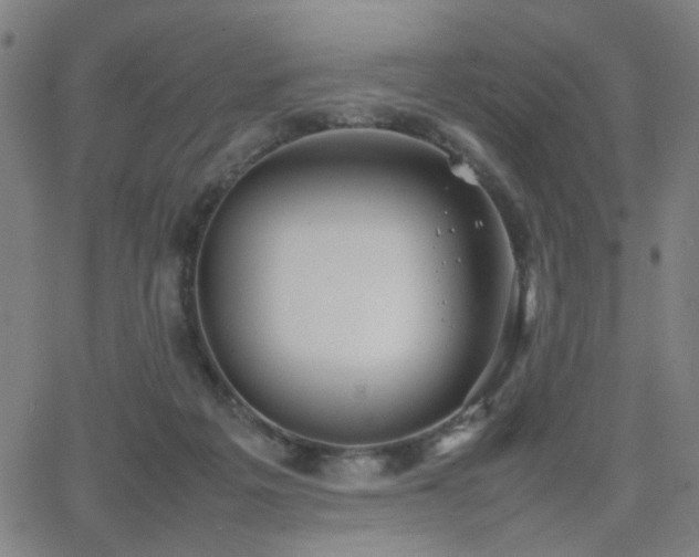 X0000064040217200601271210