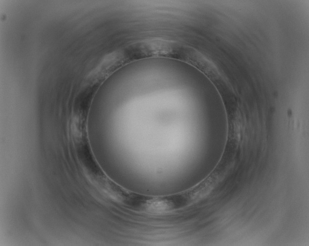 X0000064040218200601271210