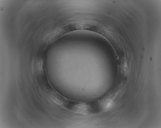 X0000064040219200601271210