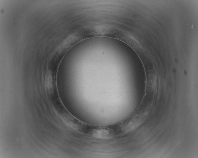 X0000064040220200601271210