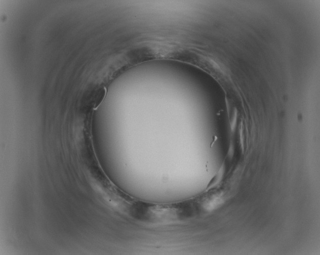 X0000064040221200601271210