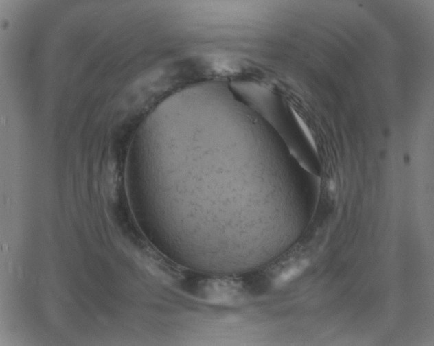 X0000064040223200601271210