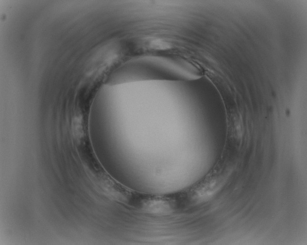 X0000064040224200601271210