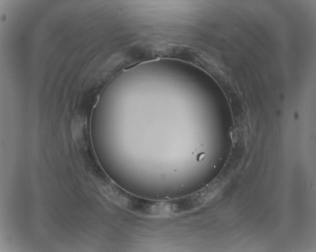 X0000064040225200601271210