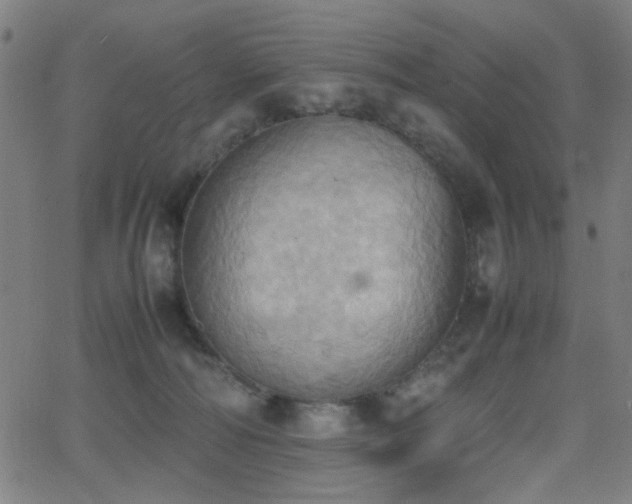 X0000064040226200601271210