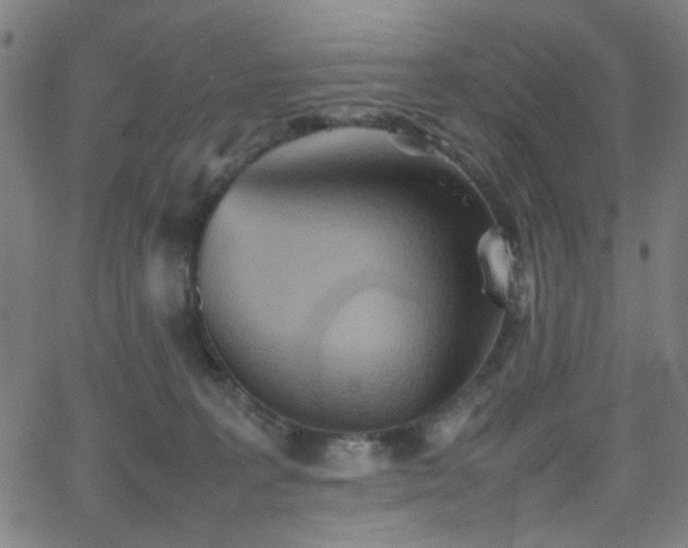 X0000064040227200601271210