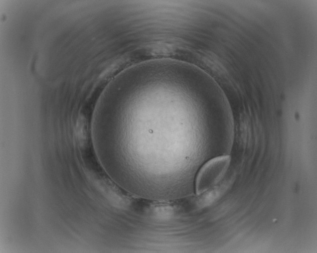 X0000064040228200601271210