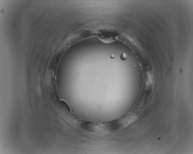 X0000064040229200601271210