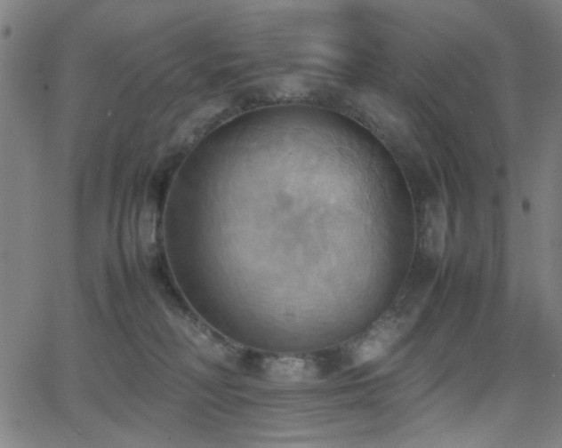 X0000064040230200601271210