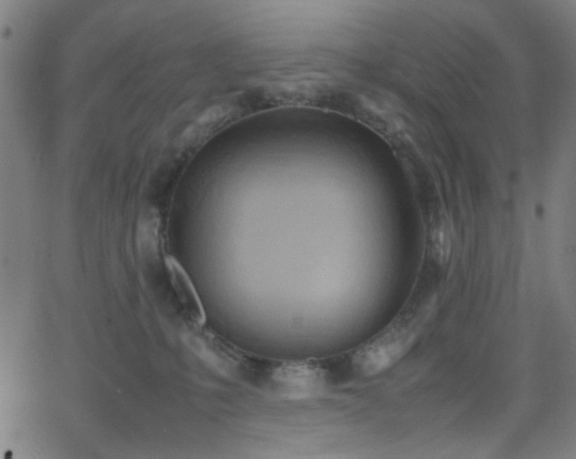 X0000064040231200601271210