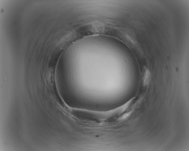 X0000064040233200601271210