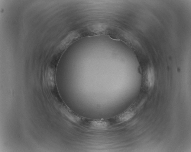 X0000064040234200601271210