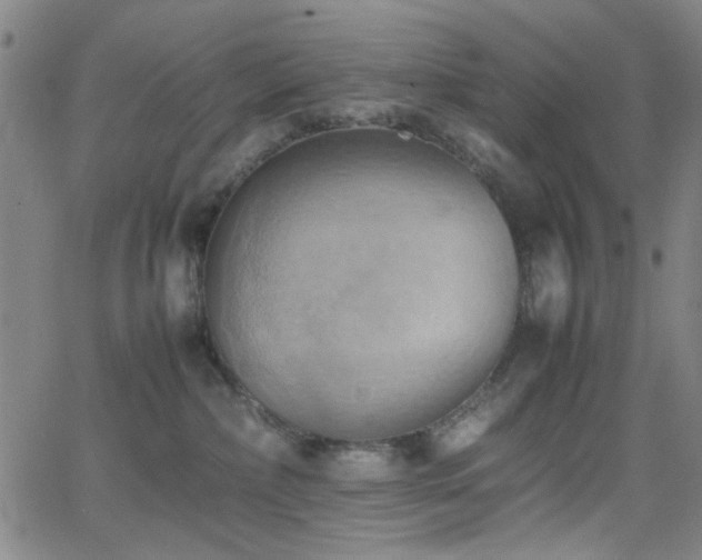 X0000064040236200601271210