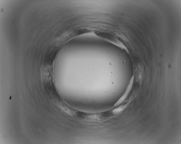 X0000064040237200601271210