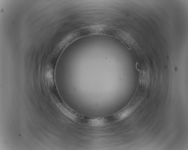 X0000064040238200601271210