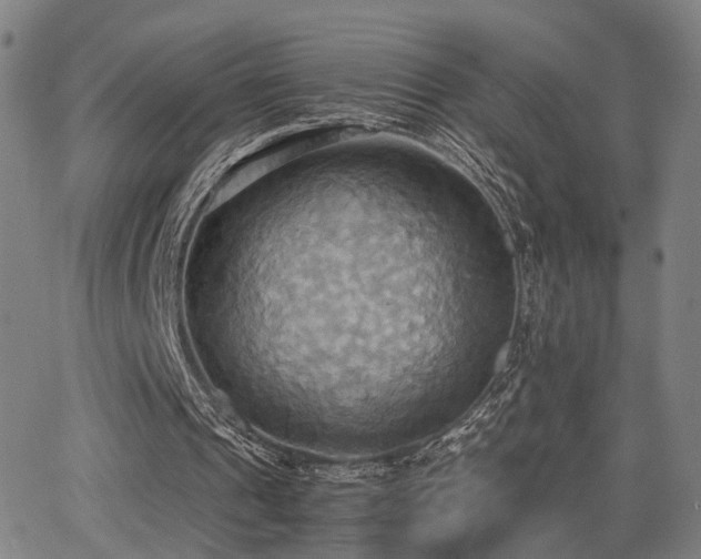 X0000064040241200601271209