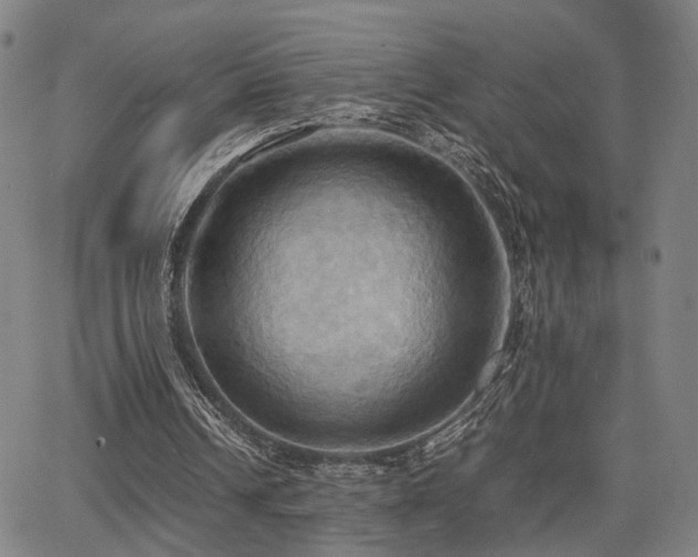 X0000064040242200601271209