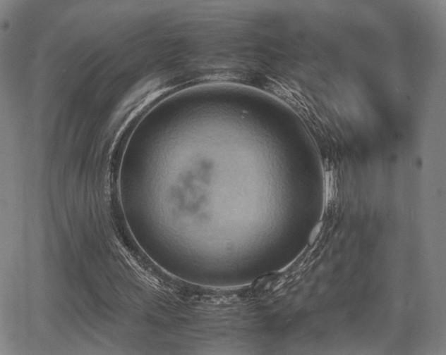 X0000064040243200601271209