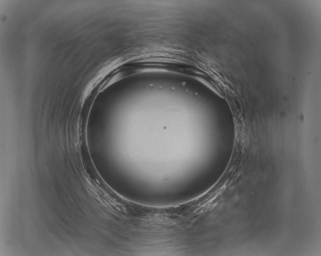 X0000064040244200601271209