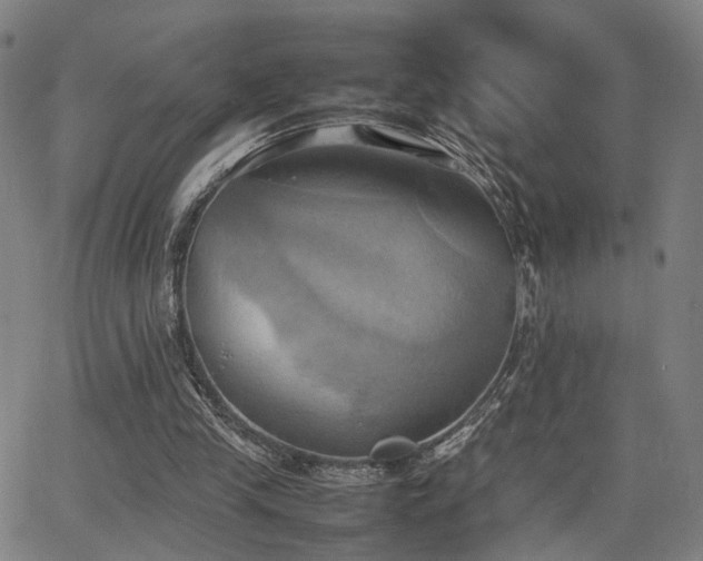 X0000064040245200601271209