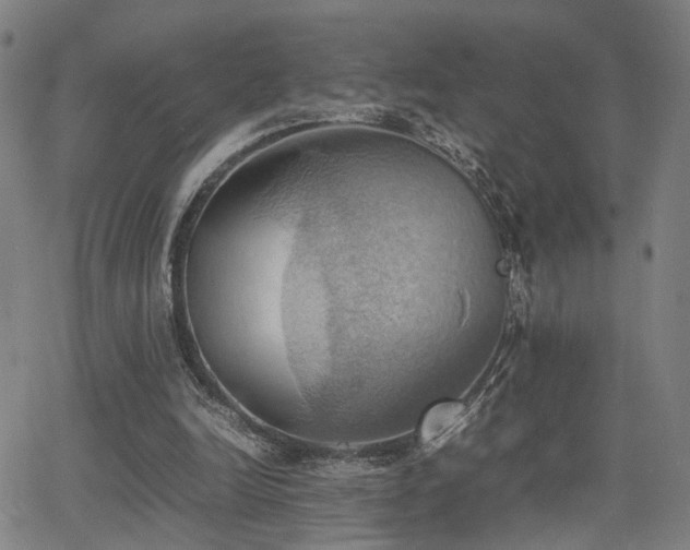 X0000064040246200601271209