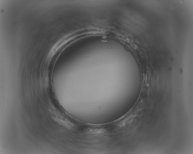 X0000064040247200601271209