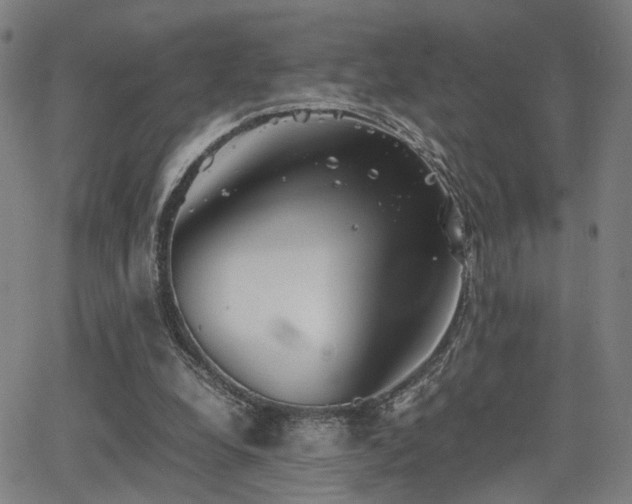 X0000064040248200601271209