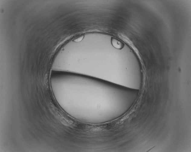 X0000064040249200601271209