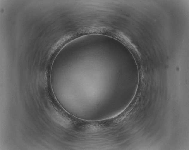 X0000064040250200601271209