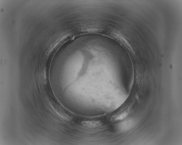 X0000064040251200601271209