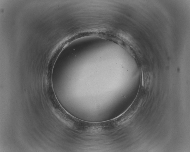 X0000064040252200601271209