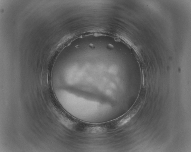 X0000064040253200601271209