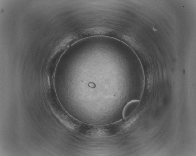 X0000064040254200601271209