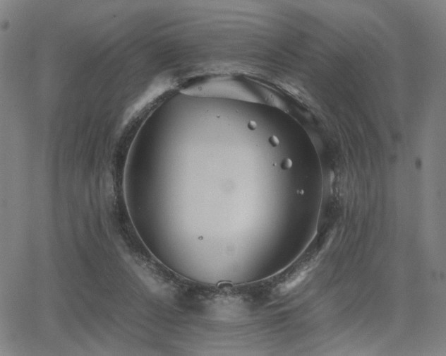 X0000064040256200601271209