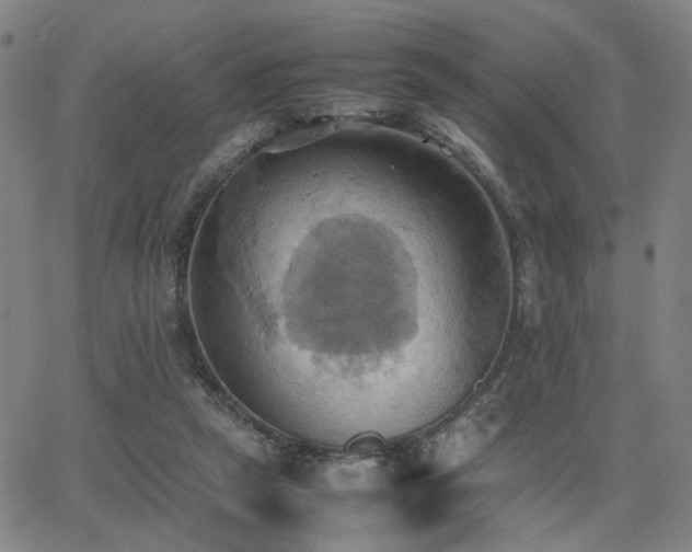 X0000064040257200601271209