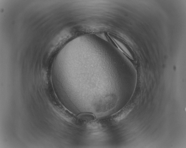 X0000064040258200601271209