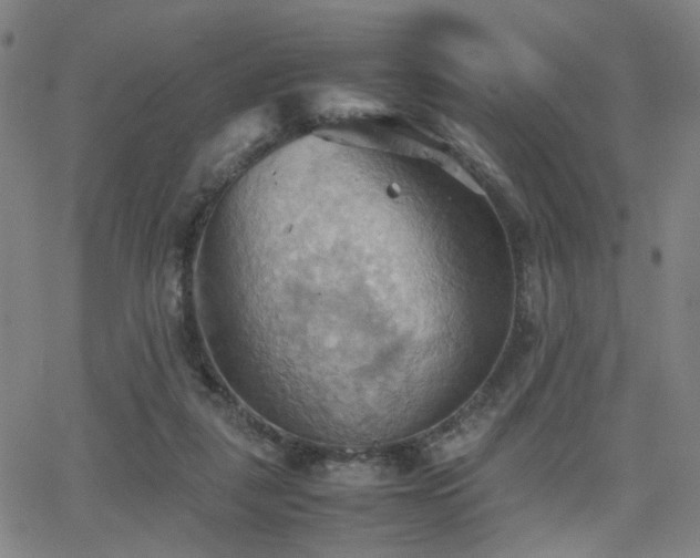 X0000064040259200601271209