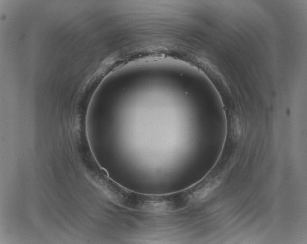 X0000064040260200601271209