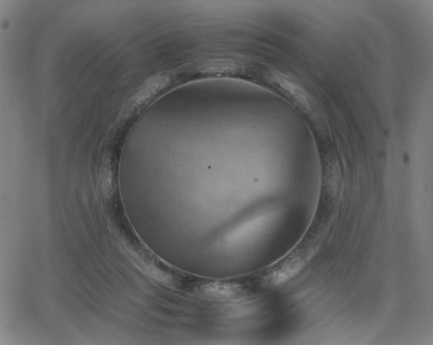 X0000064040261200601271209