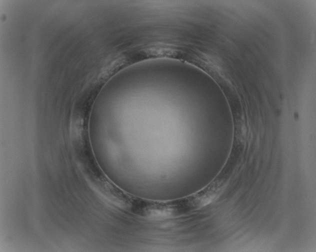 X0000064040263200601271209